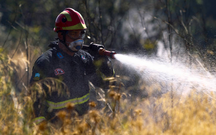 Συναγερμός για νέα φωτιά στην Ιστιαία της Εύβοιας