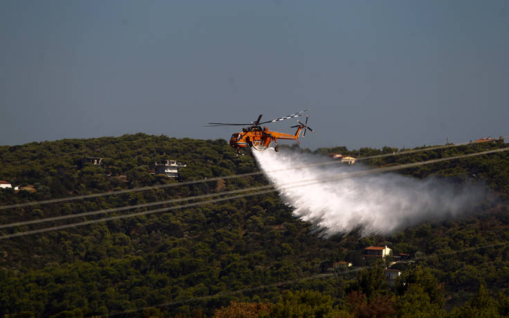 Ανεξέλεγκτη η φωτιά στη Θήβα, φτάνει στα όρια με την Αττική