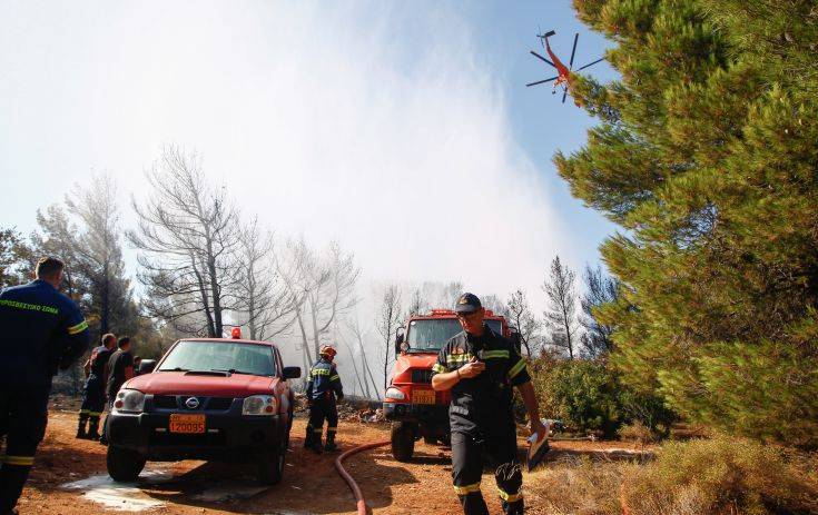 Υπό μερικό έλεγχο η φωτιά στο Κουτσοπόδι Αργολίδας