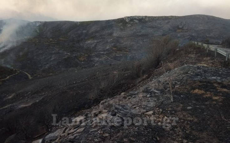 Φωτιά στην Εύβοια: Εικόνες καταστροφής από τις πυρκαγιές