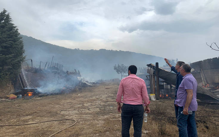 Λαμία: Φωτογραφίες από τη φωτιά που έφτασε στο χωριό Δίβρη – Στο χωριό ο Κώστας Μπακογιάννης