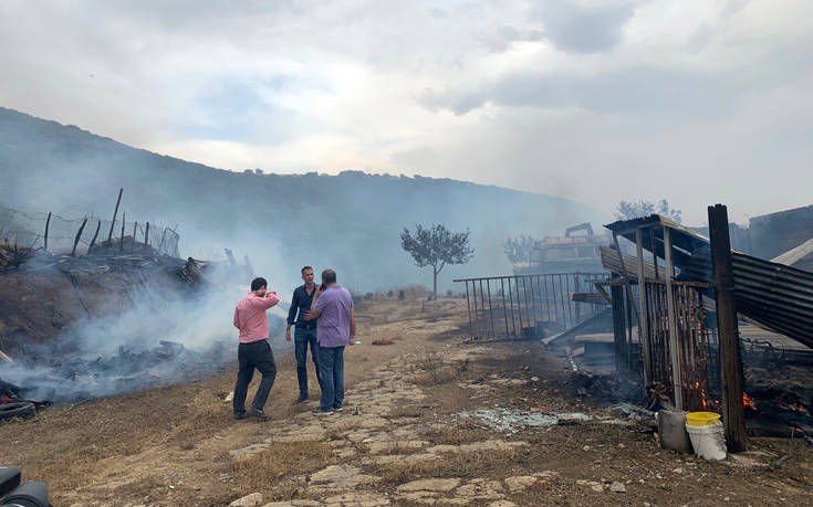 Λαμία: Φωτογραφίες από τη φωτιά που έφτασε στο χωριό Δίβρη – Στο χωριό ο Κώστας Μπακογιάννης