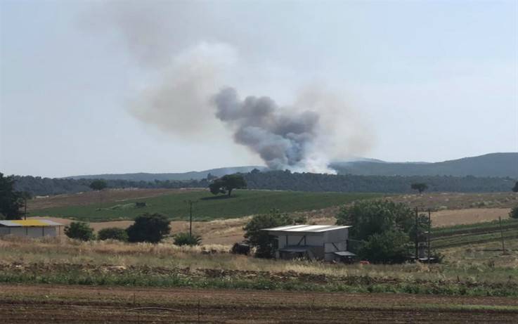 Φωτιά ξέσπασε σε δασική έκταση στην Εύβοια