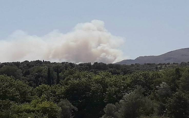 Φωτιά ξέσπασε σε δασική έκταση στην Εύβοια – Newsbeast