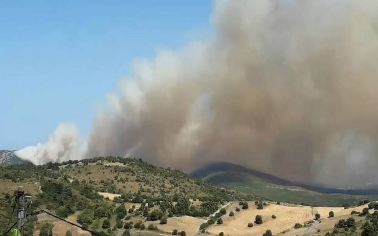 Φωτιά στην Εύβοια: Εκκενώνεται το Μακρυχώρι στον δήμο Κύμης