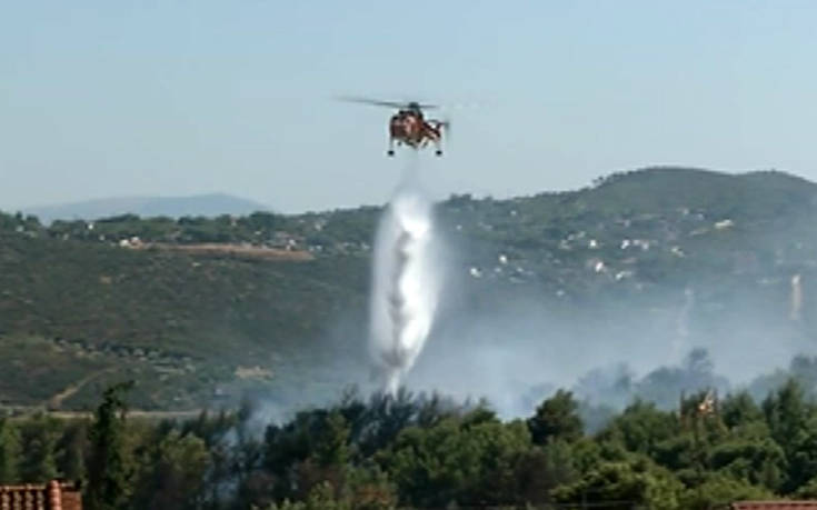 Δήμαρχος Ραφήνας για τη φωτιά: Το προλάβαμε