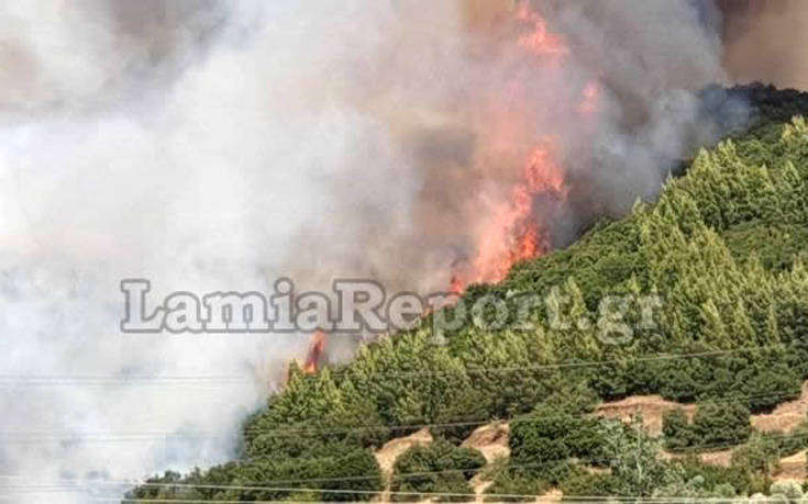 Φωτιά σε δασική έκταση στη Φθιώτιδα