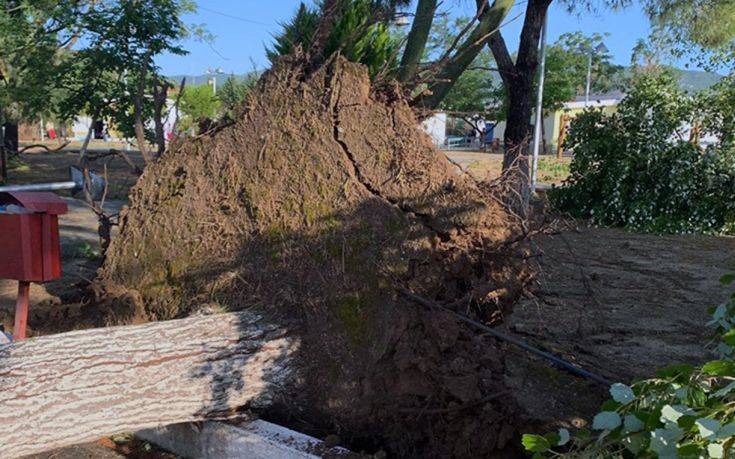 Καταστροφές, πτώσεις δέντρων και πλημμύρες σε Καβάλα και Ξάνθη