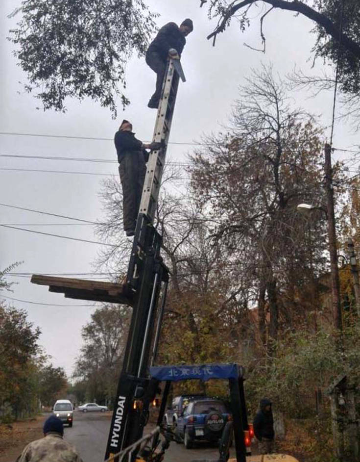 Η λέξη ασφάλεια τούς είναι άγνωστη