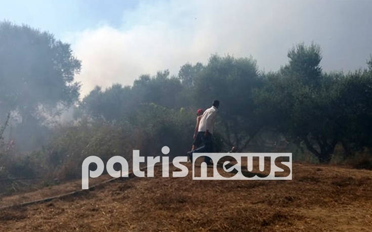 Φωτιά σε αγροτοδασική έκταση στην Ηλεία