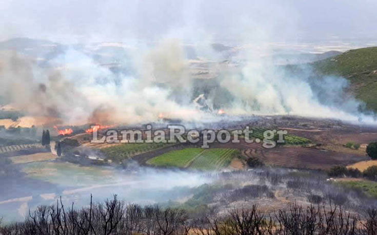 Φθιώτιδα: Φωτογραφίες και βίντεο από τη φωτιά που έφτασε στο χωριό Δίβρη