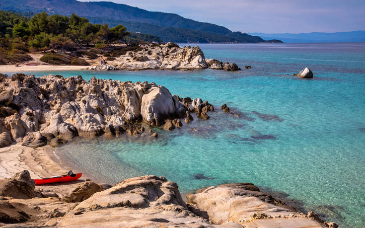 Αποκρουστική εικόνα στη Χαλκιδική, βρέθηκε δελφίνι σε κατάσταση αποσύνθεσης