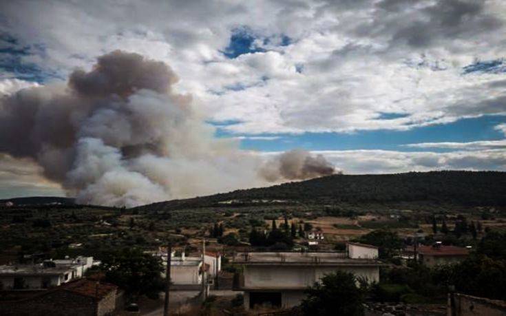 Ολονύχτια μάχη με τις φλόγες στην Τανάγρα