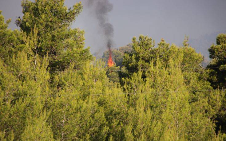 Εκπρόσωπος Πυροσβεστικής: Περιμένουμε αύξηση των ανέμων μετά τις 11 αλλά είμαστε αισιόδοξοι