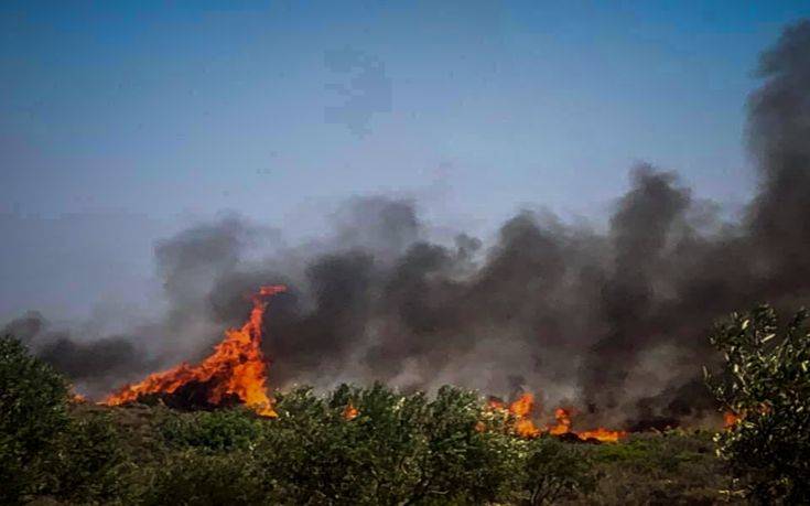 Σε ύφεση η πυρκαγιά στην Ελαφόνησο, 63 πυρκαγιές σε ένα 24ωρο