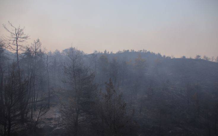 Μεγάλη φωτιά στην Εύβοια: Με το πρώτο φως πετούν τα καναντέρ, αγωνία για τους ανέμους