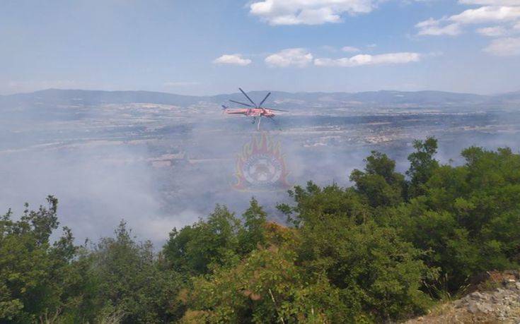 Ενισχύονται οι πυροσβεστικές δυνάμεις στη φωτιά της Τιθορέας Φθιώτιδος