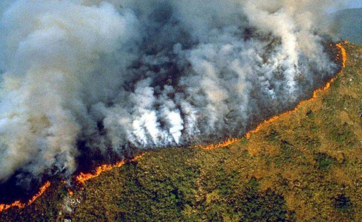 Χείρα βοηθείας από τον Τραμπ στον Μπολσονάρου για τις φωτιές στον Αμαζόνιο
