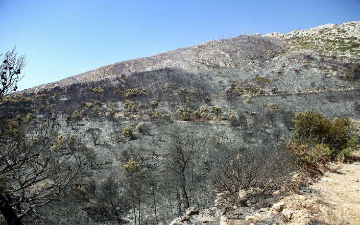 Καμία εστία φωτιάς στον Υμηττό