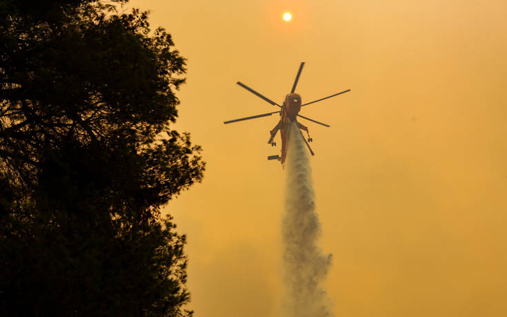 Φωτιά στην Εύβοια: Εκτιμήσεις για καταστροφή πάνω από 15.000 στρεμμάτων δάσους
