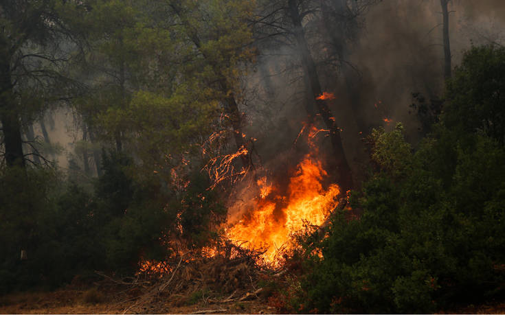 Πώς καταλαβαίνουμε ότι κάποιος είναι πυρομανής