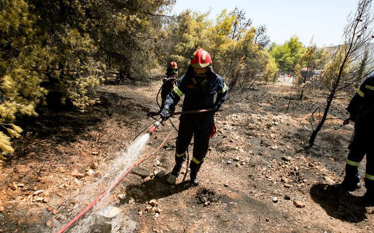 Υπό μερικό έλεγχο η πυρκαγιά στη Σάμο