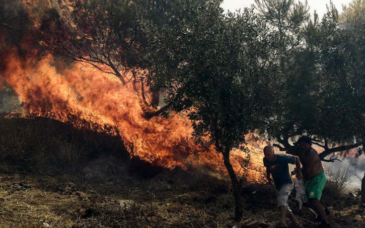 Φωτιά τώρα στην Κρήτη