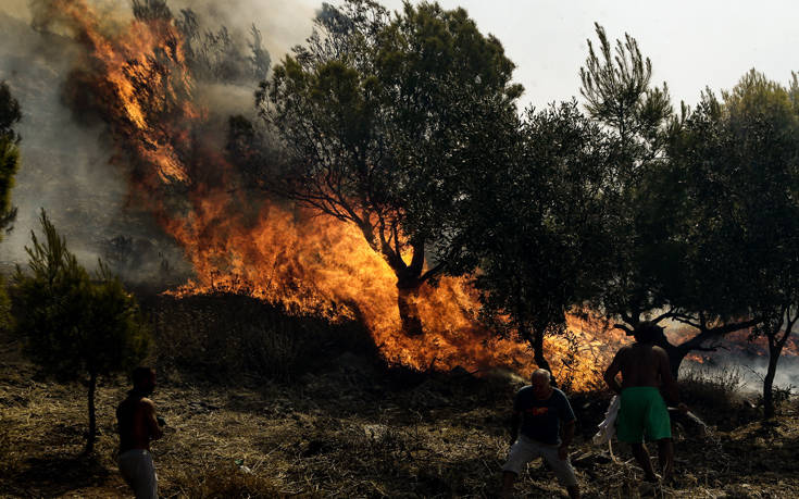 Φωτιά τώρα στην Τανάγρα