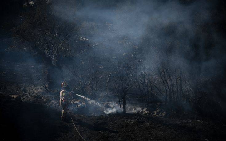 Εκατοντάδες στρέμματα καμένης γης άφησε πίσω της η φωτιά στο Ρέθυμνο