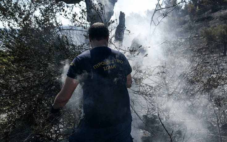 Συναγερμός για φωτιά στην Παιανία