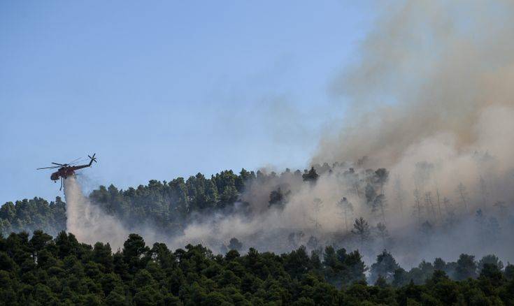 Χαμηλή η καμένη έκταση στη χώρα παρά τις φωτιές σε Μάτι και Εύβοια