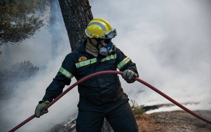 Υπό μερικό έλεγχο η πυρκαγιά στον Πρόδρομο Θήβας