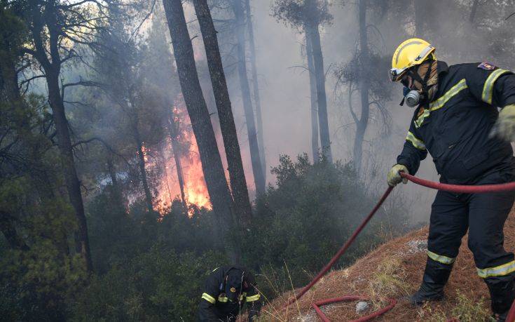 Συναγερμός για νέα φωτιά στην περιοχή Δεμάτι Ζαγορίου Ιωαννίνων