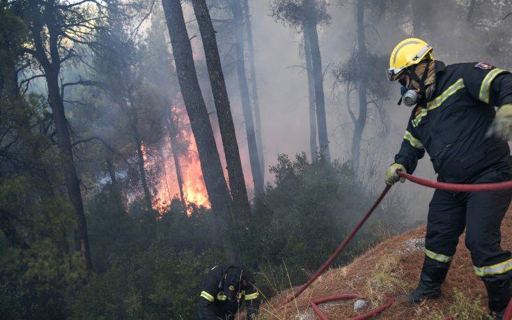 Υπό πλήρη έλεγχο η φωτιά στη Θάσο