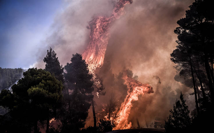 Ενισχύονται διαρκώς οι δυνάμεις στη φωτιά της Εύβοιας, στο σημείο και ο γγ Πολιτικής Προστασίας