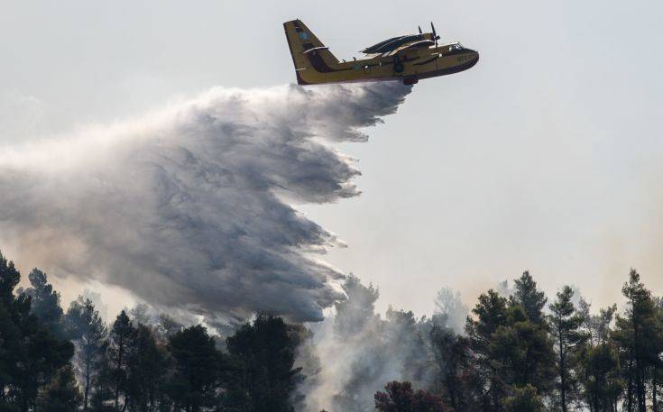 Μαίνεται η φωτιά στη Φθιώτιδα: «Μεγάλες και επικίνδυνες οι αναζωπυρώσεις»