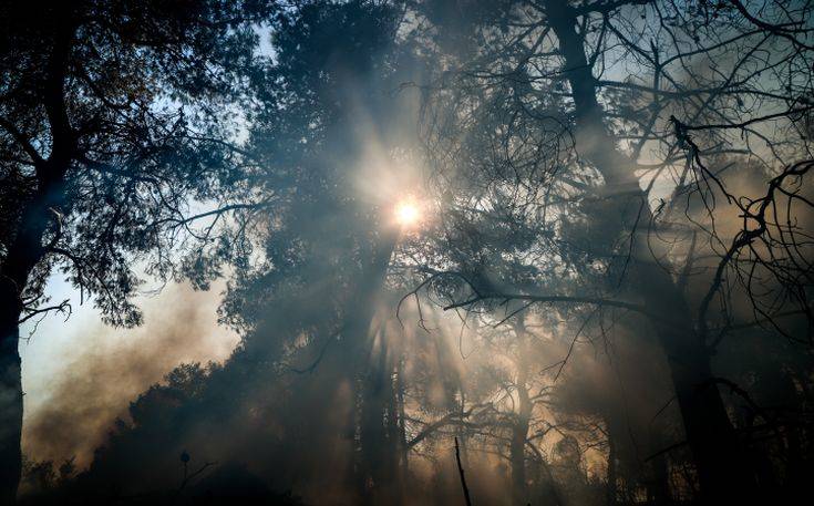 Μεγάλη μάχη των πυροσβεστών στο μέτωπο της Πλατάνας στην Εύβοια