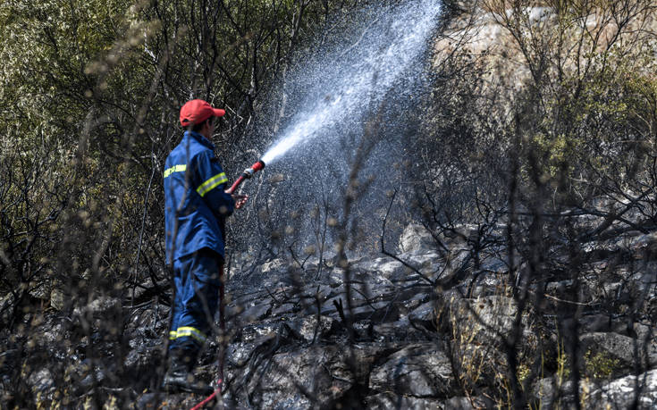 Φωτιά ξέσπασε στην περιοχή της Αγιάς στη Λάρισα