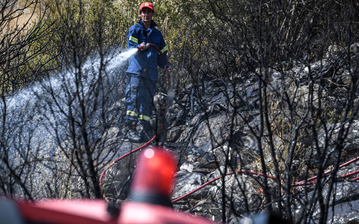 Υπό μερικό έλεγχο η φωτιά στον Μαραθώνα