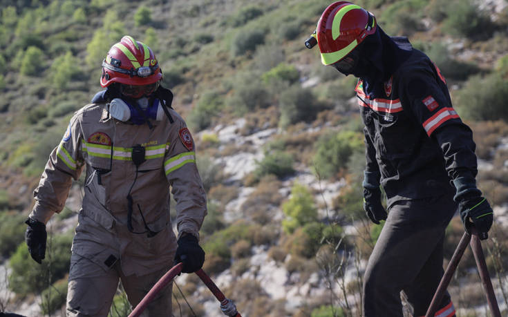 Υπό μερικό έλεγχο η δασική πυρκαγιά στη Σιθωνία Χαλκιδικής