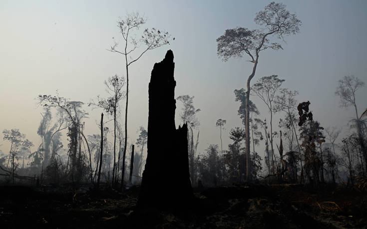 Προφυλακίστηκαν τέσσερις εθελοντές πυροσβέστες για τις φωτιές στον Αμαζόνιο