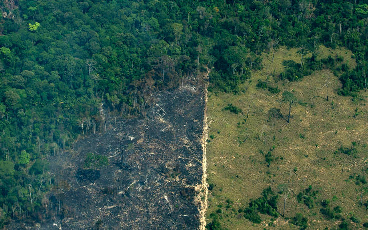 Τι έδειξε δημοσκόπηση στη Βραζιλία για τον Αμαζόνιο