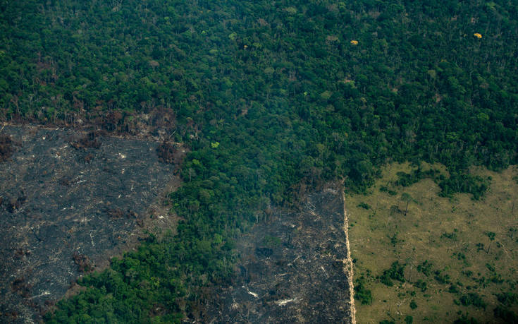 Αμαζόνιος: Η αποψίλωση του δάσους ξεπέρασε το φράγμα των 10.000 τετραγωνικών χιλιομέτρων