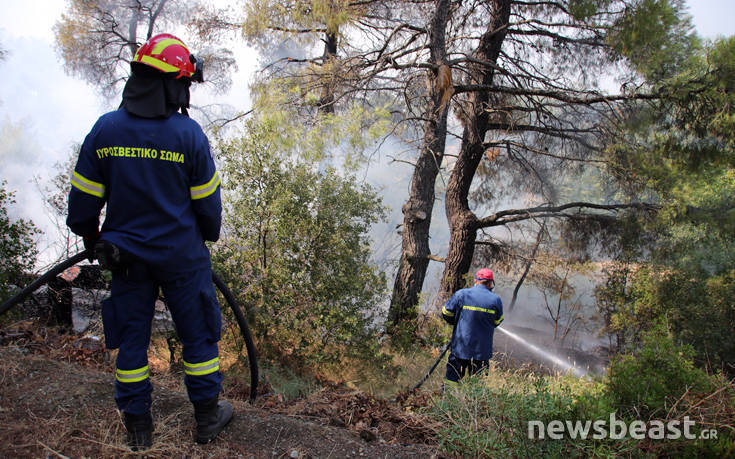 Μαρτυρίες κατοίκων από την Εύβοια: Η φωτιά ήταν βαλτή