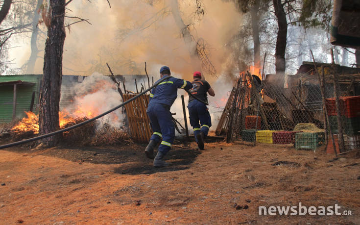Νέες εικόνες από τη μάχη με την πύρινη λαίλαπα στο Μακρυμάλλη