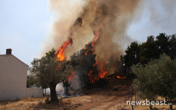 Τιτάνια μάχη των πυροσβεστών με τη φωτιά μετά την ξαφνική αναζωπύρωση στο Μακρυμάλλη