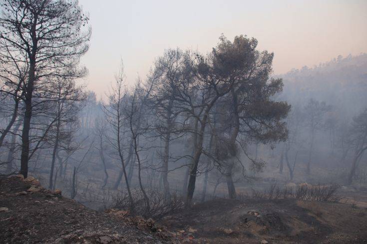 Στυλιανίδης για φωτιές: Η Ευρωπαϊκή Ένωση θα σταθεί στο πλευρό της Ελλάδας