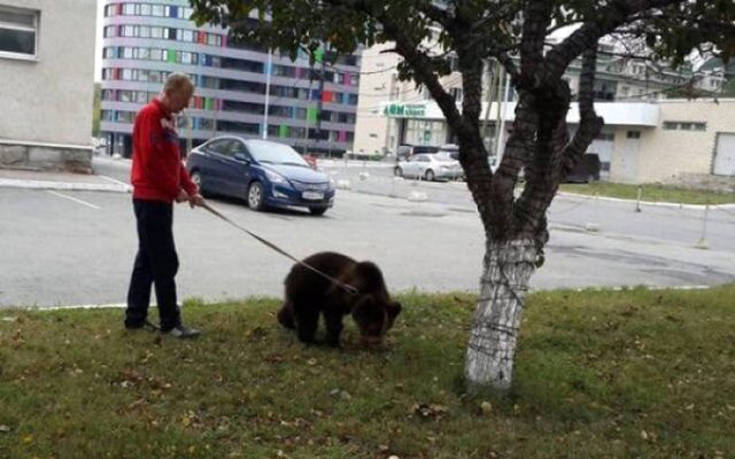 Τι συναντάς με μια βόλτα στους δρόμους της Ρωσίας