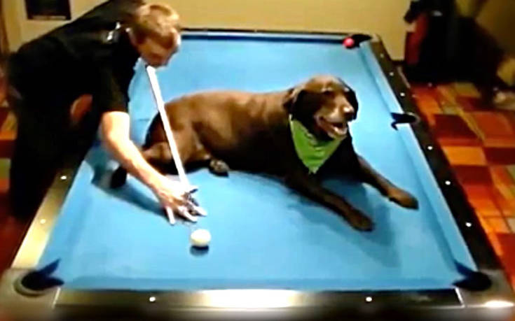 Κόλπα για τους λάτρεις του μπιλιάρδου