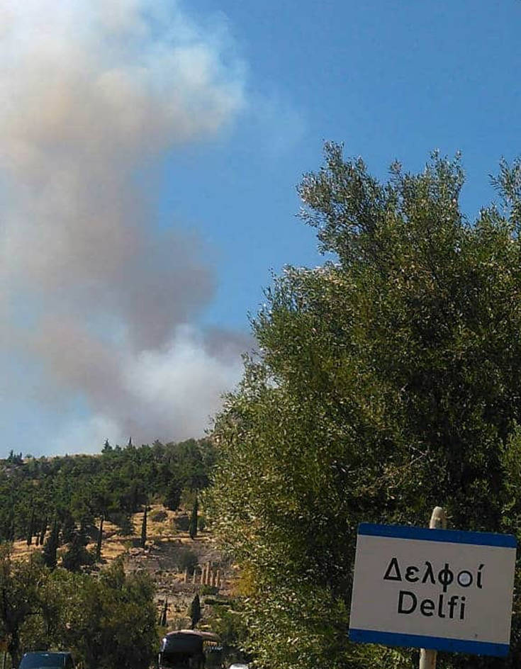 Η φωτιά στην Αρτέμιδα πέρασε μέσα από αυλές, σπεύδουν δυνάμεις στους Δελφούς